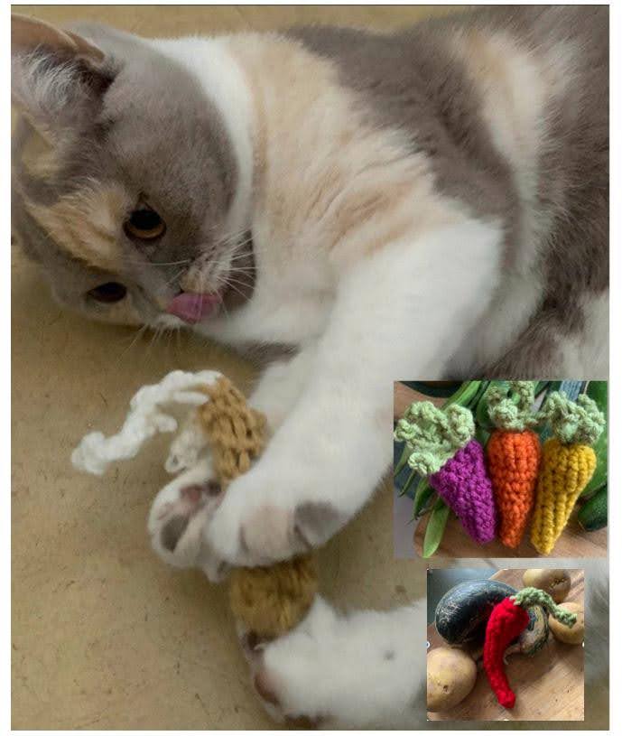 Catnip Toys
